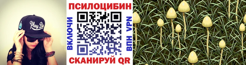 Галлюциногенные грибы ЛСД  Катайск 